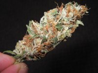 mini-Picture 006.jpg