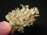 mini-Picture 008.jpg