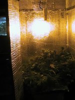 PIC_0075.JPG