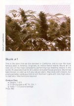 TSB1990page191.jpg
