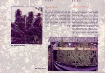 7507SSSC8889P8-copy.jpg