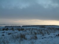 DSCF0008.JPG