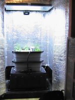 PIC_2382.JPG