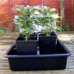 New_Dripper_System-_Ortega-Garland_Tray.jpg