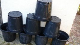 10L pots.jpg