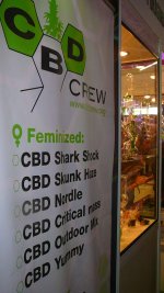 cbd banner.jpg