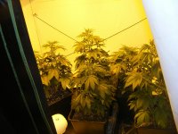 A Tent Full And Then Some march18.jpg