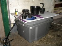 Growing On The Cheap- 4 Sale Sign And Tub.jpg