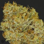 Huck-Cough-V1-b-1-of-1-300x300.jpg