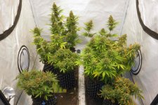 Week 15 Session - Week 10 Flo - 1.JPG