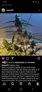 Screenshot_20210325-112705_Instagram.jpg
