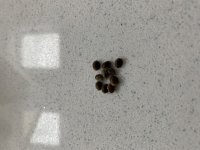 69FA5F73-F9AA-47E8-AA9E-B71EAE6BE7BB.jpeg