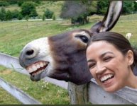 AOC Twin.jpeg