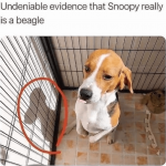 beagle.png