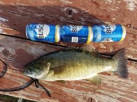 fish.jpg
