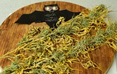 holysmoke outdrs 11_2.jpg