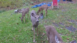Webp.net-compress-image(20).jpg Webp.net-compress-image(20).jpg