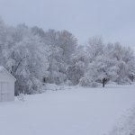 Snow.jpg Snow.jpg