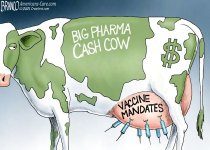 pharma cash cow.jpg