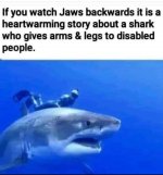 jaws.jpg