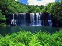 Secluded Falls, Kauai - Copy.jpg