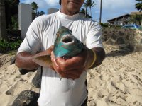 IMG_0383 - Copy.JPG