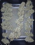 dried buds OH1.jpg