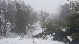 Snow-2.jpg