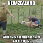 new-zealand-where-men-are-men-and-sheep-are-nervous.jpg