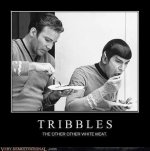 tribbles.jpg