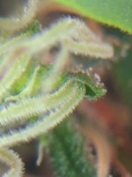 20220928_122035.jpg 20220928_122035.jpg