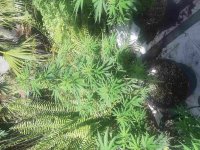 20221012_103233_compress32.jpg