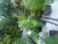 20221026_063636_compress30.jpg