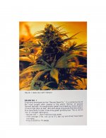 The Seed Bank 1987 Seed Catalog-03.jpg