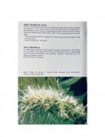 The Seed Bank 1987 Seed Catalog-04.jpg