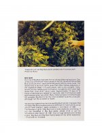 The Seed Bank 1987 Seed Catalog-09.jpg