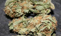 earlyhaze_1.jpg
