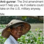 antigun.jpg