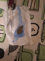 PhotoPuma_1682811812728.jpg PhotoPuma_1682811812728.jpg
