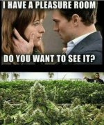 420-stoner-memes-but-you-ll-probably-only-see-69-if-your-high-123.jpg