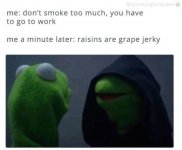 420-stoner-memes-but-you-ll-probably-only-see-69-if-your-high-98.jpg