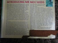 MrNiceSeeds-AnIntroduction-2001-1.jpg