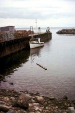 Bay_of_Fundy_High_Tide.jpg