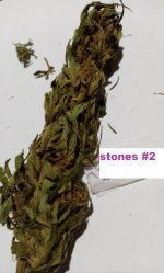 stones #2c.jpg