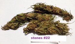 stones #22a.jpg