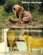 funny-pics-of-before-and-after-pictures-marriage.jpeg