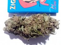 G13 #2 - 13-11-2013.jpg