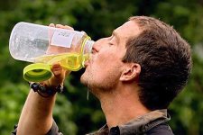 bear_grylls_drinking_pee.jpg