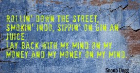 Quotation-Snoop-Dogg-Rollin-down-the-street-smokin-indo-sippin-on-gin-an-56-95-58.jpg