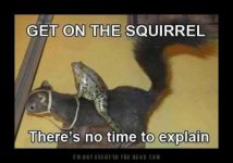 getonthesquirrel.JPG